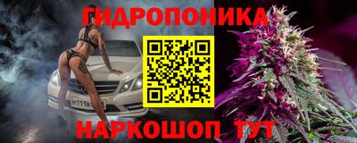 PSILOCYBIN Заводоуковск