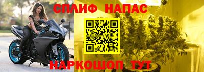 PSILOCYBIN Заводоуковск