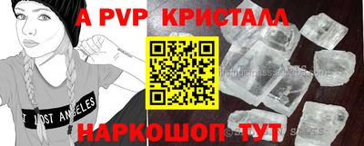 PSILOCYBIN Заводоуковск